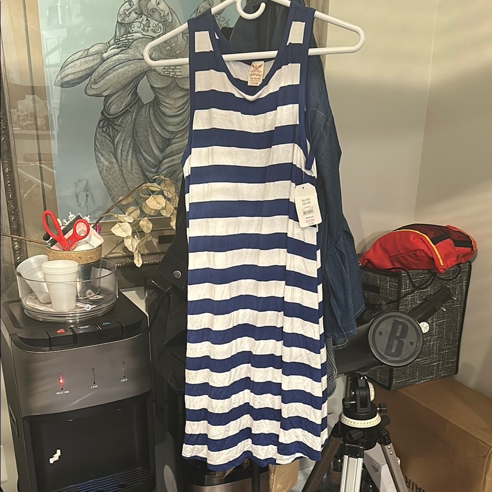 Faded Glory Blue and White Striped Dress